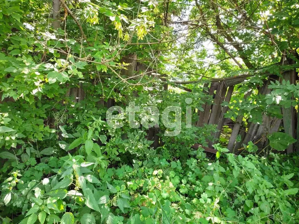 Участок в Белгородская область, Красногвардейский район, Ливенское ... - Фото 0