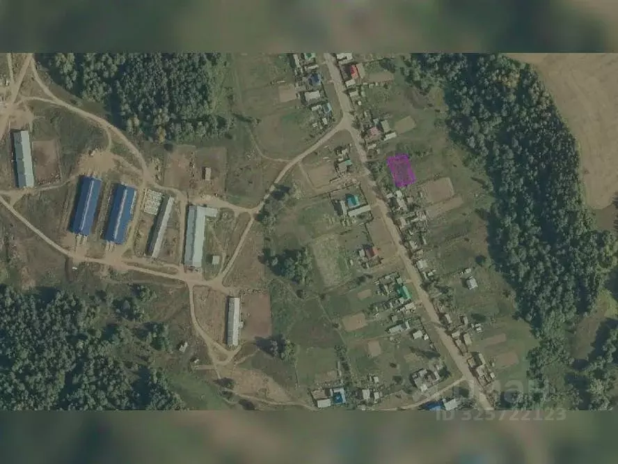 Участок в Пермский край, Куединский муниципальный округ, с. Большие ... - Фото 1