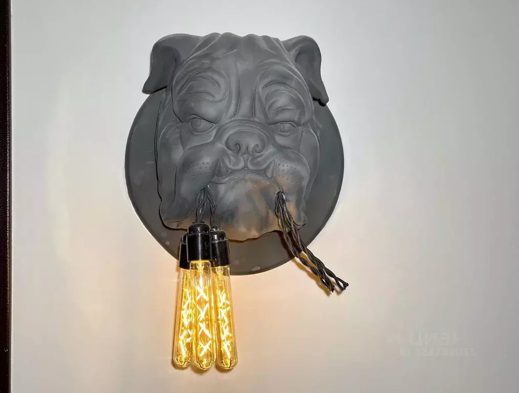 1-к кв. Санкт-Петербург ул. Жуковского, 28 (25.0 м) - Фото 2