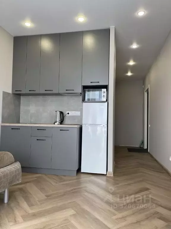 Студия Новосибирская область, Новосибирск ул. Адриена Лежена, 38 (26.0 ... - Фото 0