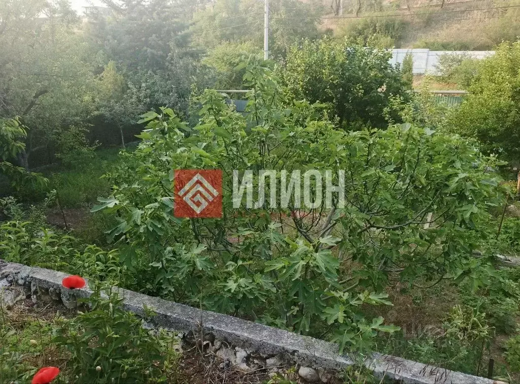 Участок в Севастополь Эра-1 садоводческое товарищество, 80 (4.0 сот.) - Фото 1