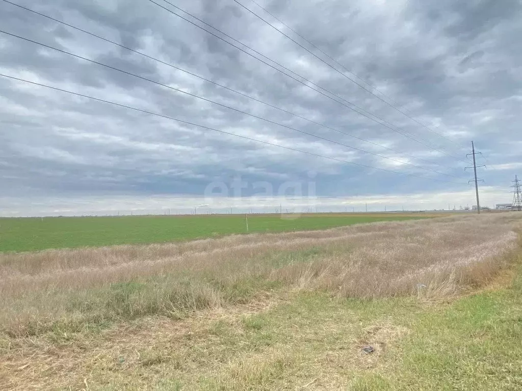 Участок в Крым, Сакский район, с. Молочное  (40.0 сот.) - Фото 0