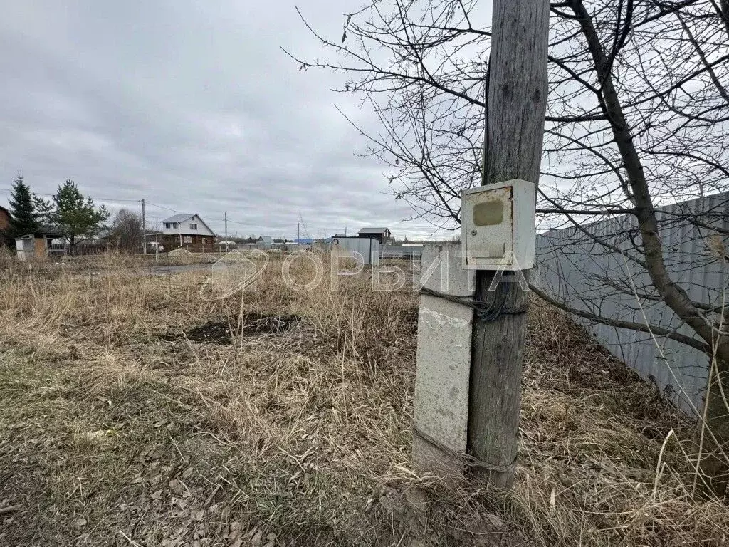 Участок в Тюменская область, Тюмень Лаванда садовое товарищество, ул. ... - Фото 2