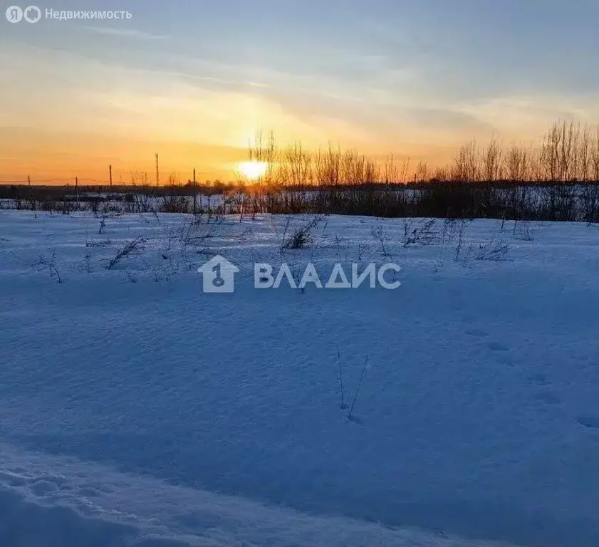 Участок в село Сухая, Байкальская улица, 15 (64 м) - Фото 2