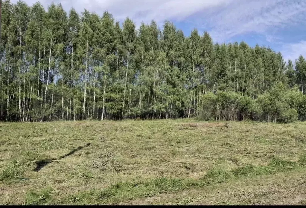 Участок в Тверская область, Конаковский муниципальный округ, Деревня ... - Фото 1