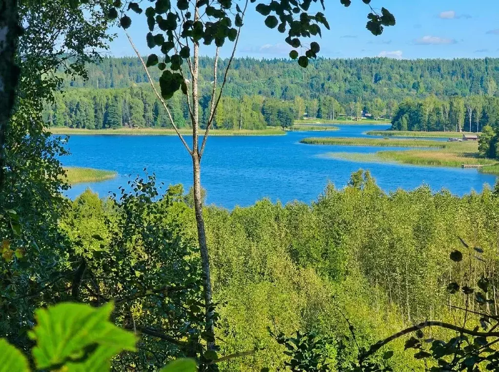 Участок в Ленинградская область, Приозерский район, Петровское с/пос  ... - Фото 1