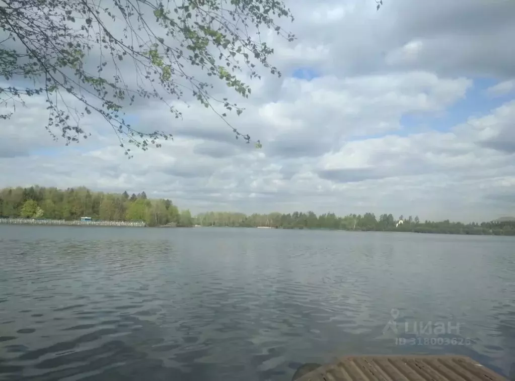Дом в Московская область, Мытищи городской округ, д. Витенево  (80 м) - Фото 1