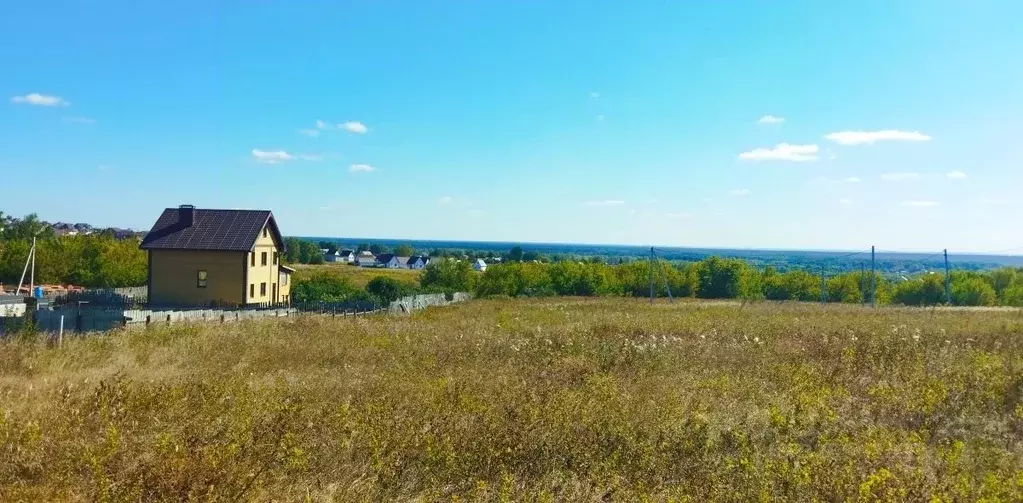 Участок в Пензенская область, с. Бессоновка ул. Саранская (10.0 сот.) - Фото 1