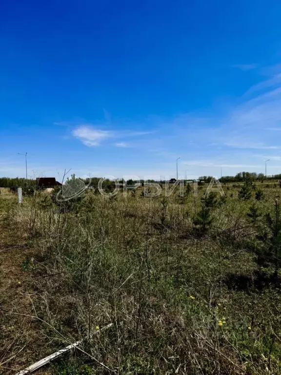 Участок в Тюменская область, Тюменский район, Новокаменский кп ул. ... - Фото 0
