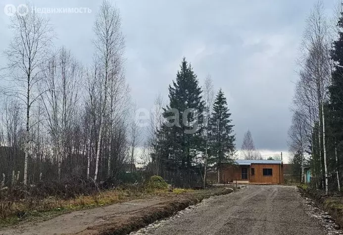 Участок в Пермский край, Краснокамский муниципальный округ, посёлок ... - Фото 1