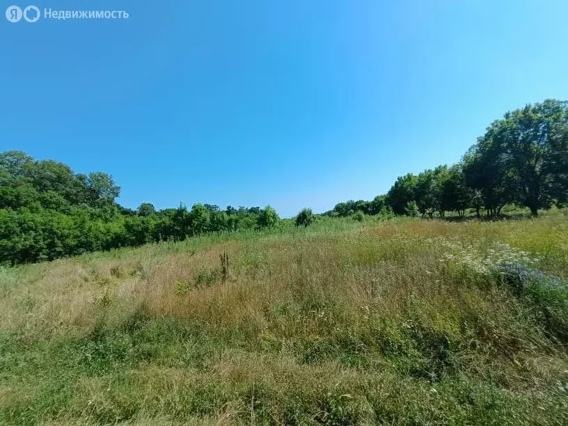 Участок в Краснодарский край, городской округ Новороссийск, село Южная ... - Фото 1