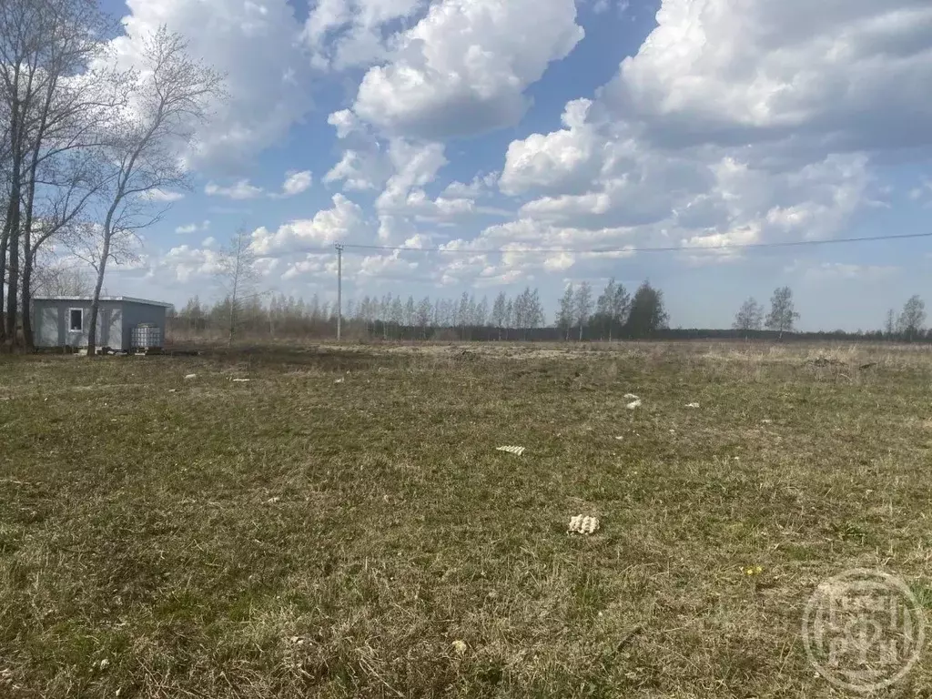 Участок в Ленинградская область, Ломоносовский район, Пениковское ... - Фото 1