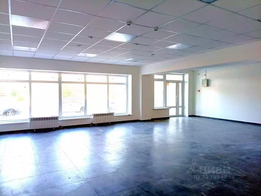 Торговая площадь в Саратовская область, Саратов ул. Имени Михаила ... - Фото 1