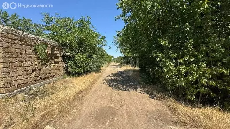 Участок в Симферопольский район, ДП Метролог (8 м) - Фото 1