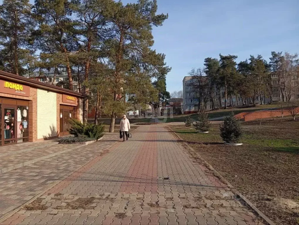 2-к кв. Белгородская область, Шебекино ул. Мичурина, 3 (43.8 м) - Фото 0