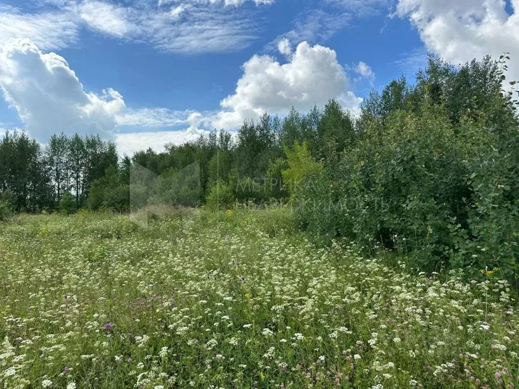 Участок в Тюменская область, Нижнетавдинский муниципальный округ, ... - Фото 1