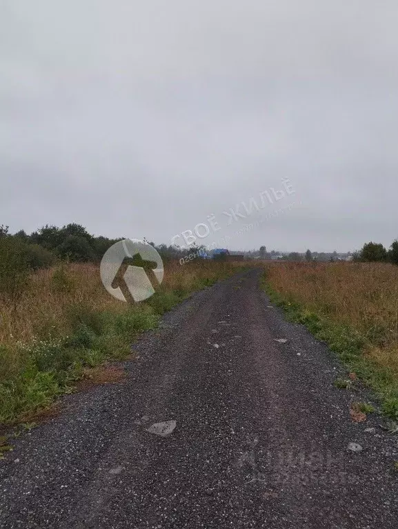 Участок в Пермский край, Пермский муниципальный округ, д. Заречная ... - Фото 2