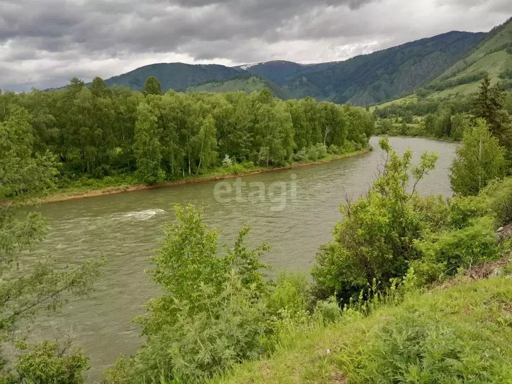 Участок в Алтай, Усть-Коксинский район, с. Усть-Кокса Мостовая ул. ... - Фото 1
