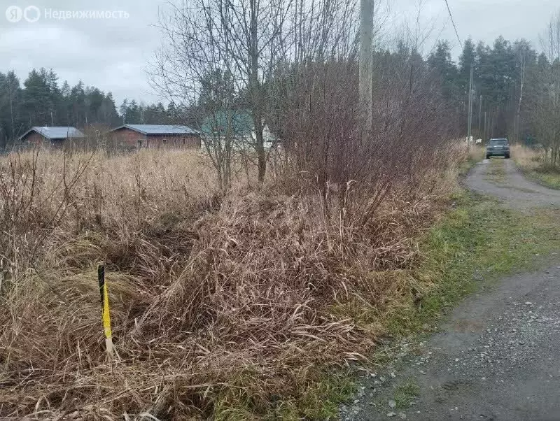 Участок в Приозерский район, Раздольевское сельское поселение, деревня ... - Фото 2