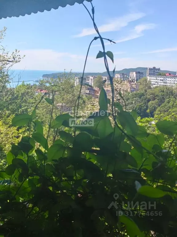 Гараж в Краснодарский край, Туапсе Солнечная ул. (30 м) - Фото 0