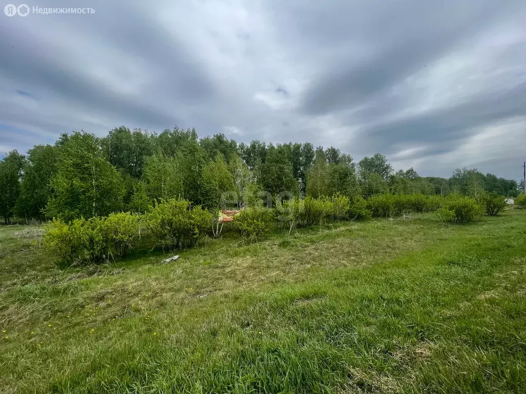 Участок в Сосновский район, село Кременкуль (115.3 м) - Фото 0