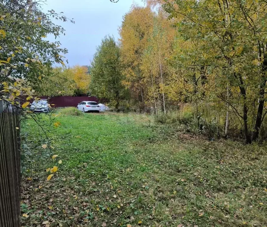 Участок в Брянская область, Брянский район, Снежское с/пос, с. ... - Фото 2