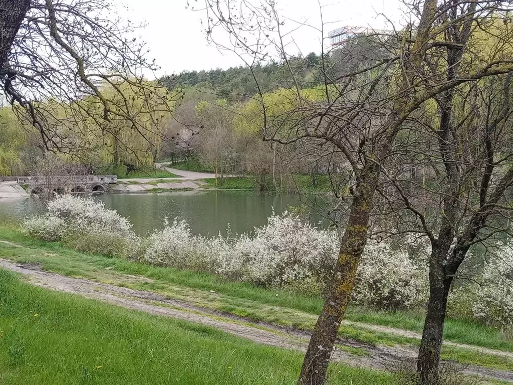Дом в Ставропольский край, Ессентуки Пригородная ул. (200 м) - Фото 1