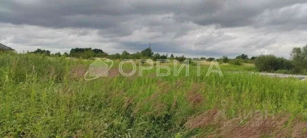 Участок в Тюменская область, Тюменский муниципальный округ, д. ... - Фото 1