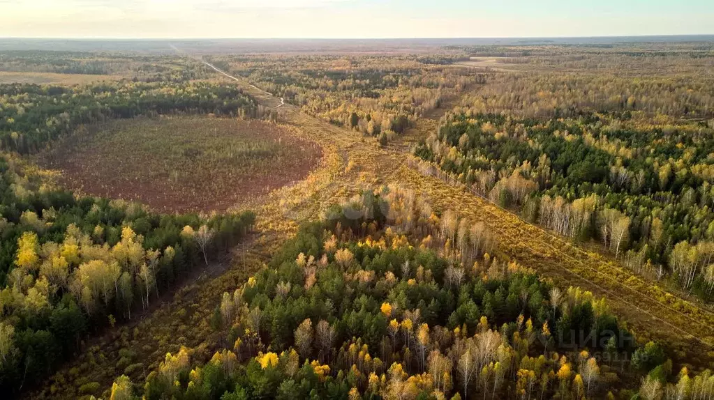 Участок в Тюменская область, Тюменский муниципальный округ, с. ... - Фото 1