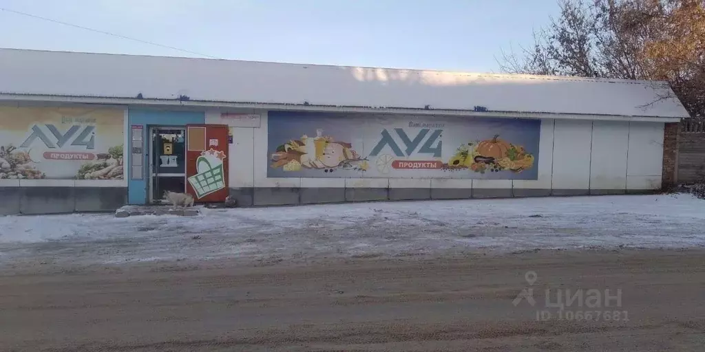 Торговая площадь в Тульская область, Плавск ул. Островского, 7 (100 м) - Фото 0