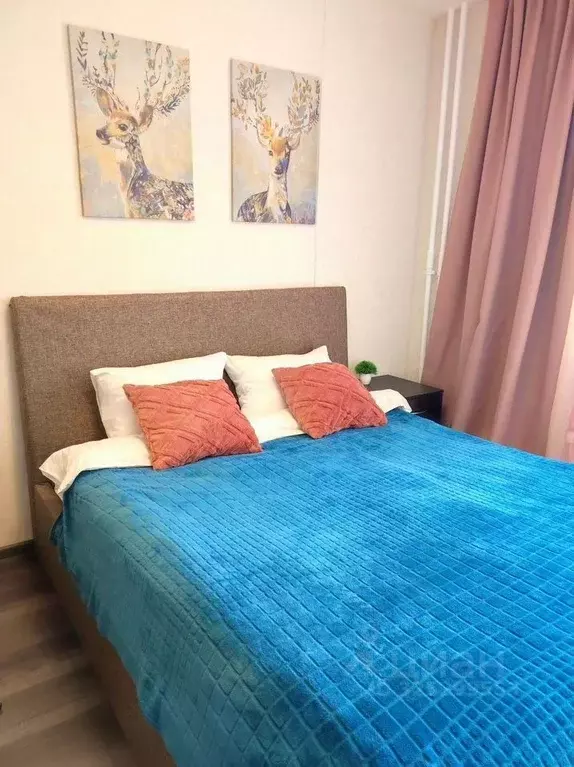 Студия Ленинградская область, Мурино Всеволожский район, бул. ... - Фото 2