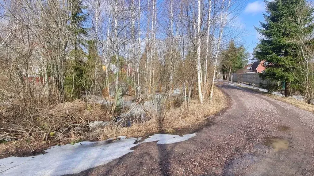 Участок в Ленинградская область, Выборгский район, Рощинское городское ... - Фото 0