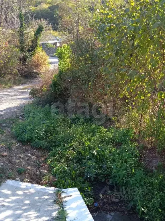 Участок в Краснодарский край, Геленджик городской округ, с. Пшада  ... - Фото 2