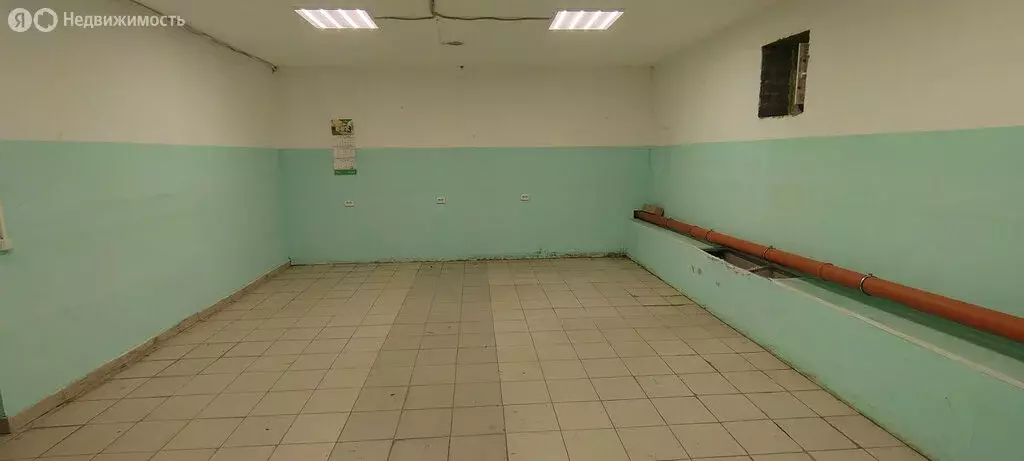 Помещение свободного назначения (37 м) - Фото 0