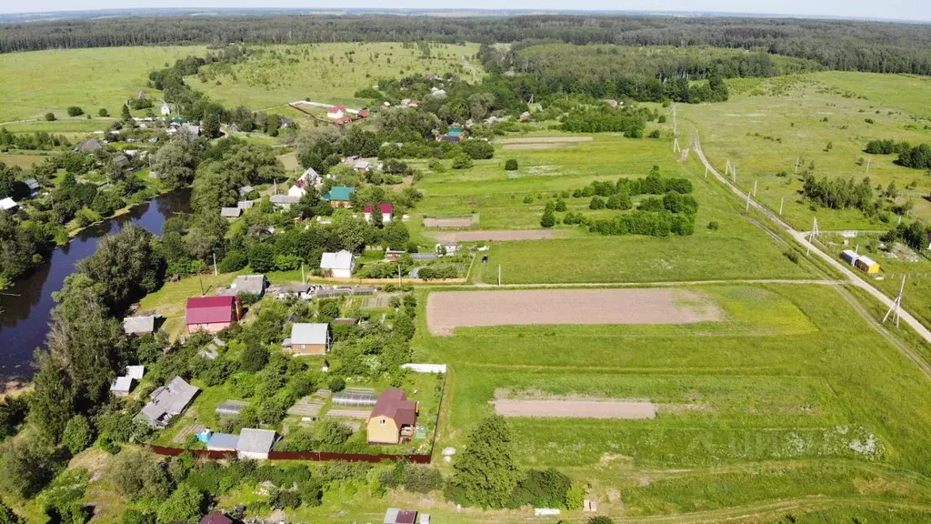Участок в Тульская область, Заокский район, Демидовское с/пос, с. ... - Фото 2