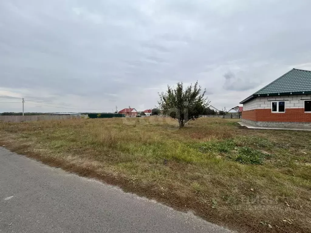 Участок в Белгородская область, Прохоровка рп, Славянский мкр  (16.0 ... - Фото 2