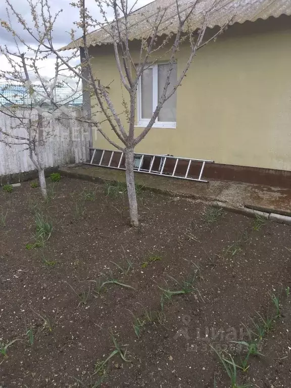 Дом в Крым, Черноморский район, с. Кировское ул. Титова (82 м) - Фото 0