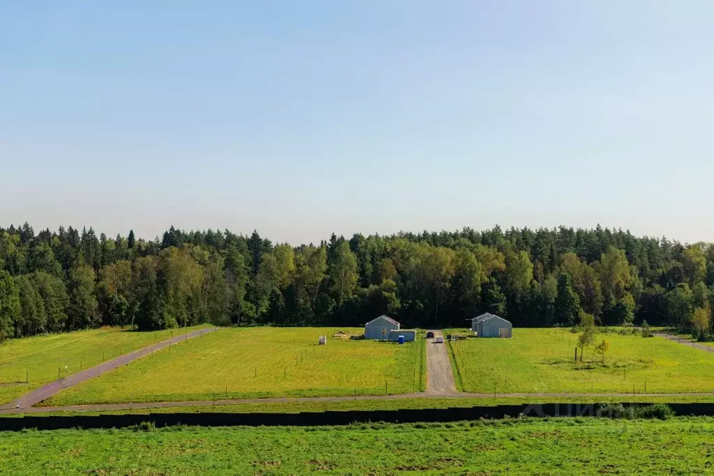 Участок в Московская область, Истра муниципальный округ, д. Дубровское ... - Фото 1