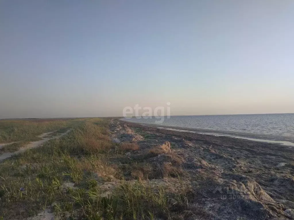 Участок в Крым, Раздольненский район, Чернышевское с/пос, с. Чернышево ... - Фото 0