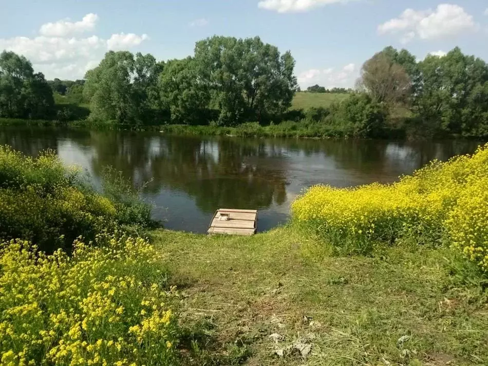 Участок в Липецкая область, Данковский муниципальный округ, д. ... - Фото 2