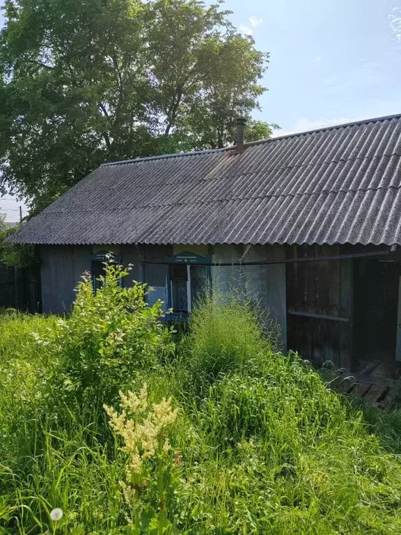 Дом в Пермский край, Верещагино ул. Калинина, 130 (38 м) - Фото 1