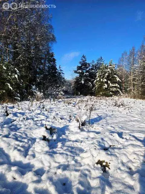 Участок в Владимирская область, Киржачский муниципальный округ, ... - Фото 2