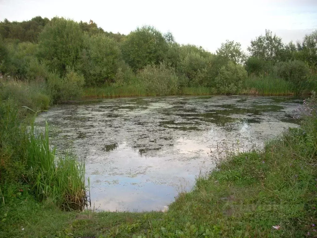 Участок в Тверская область, Кимрский муниципальный округ, д. Одинцово  ... - Фото 2