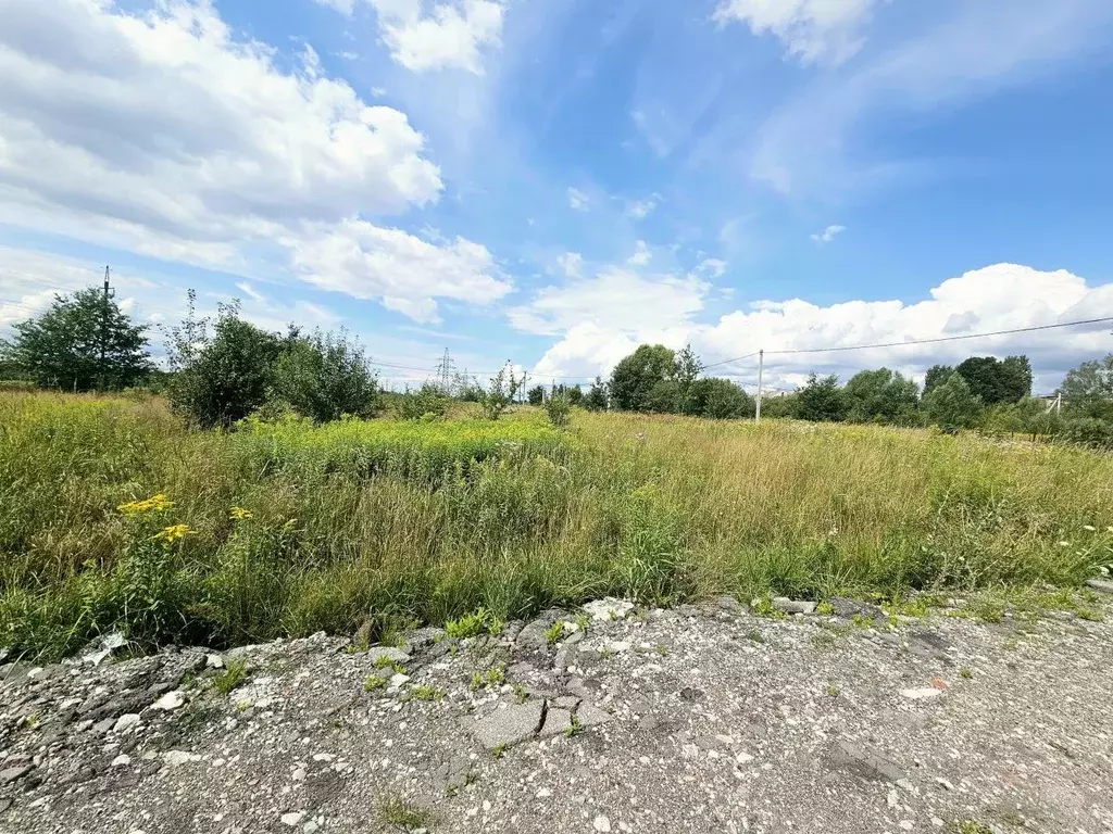 Участок в Калининградская область, Гурьевский муниципальный округ, ... - Фото 2