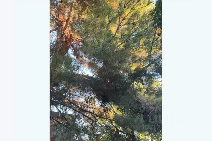 Дом в Краснодарский край, Геленджик городской округ, Бетта хут. ул. ... - Фото 1