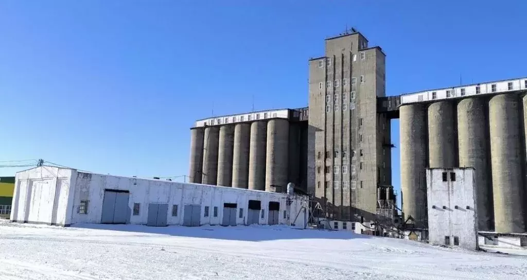 Производственное помещение в Алтайский край, Третьяковский район, ... - Фото 1