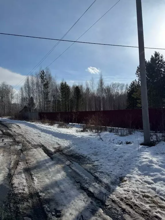 Участок в Курганская область, с. Кетово ул. Лесная (10.0 сот.) - Фото 1