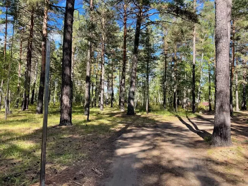 Участок в Забайкальский край, Читинский район, с. Смоленка  (7.7 сот.) - Фото 0