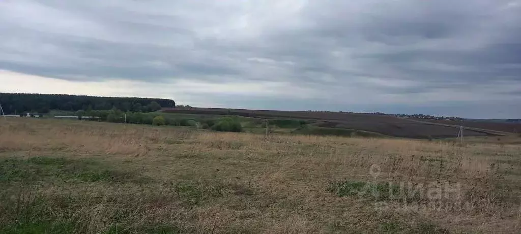 Участок в Владимирская область, Суздальский район, Павловское ... - Фото 1