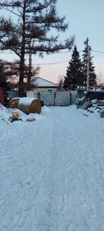 Помещение свободного назначения в Новосибирская область, Новосибирск ... - Фото 0